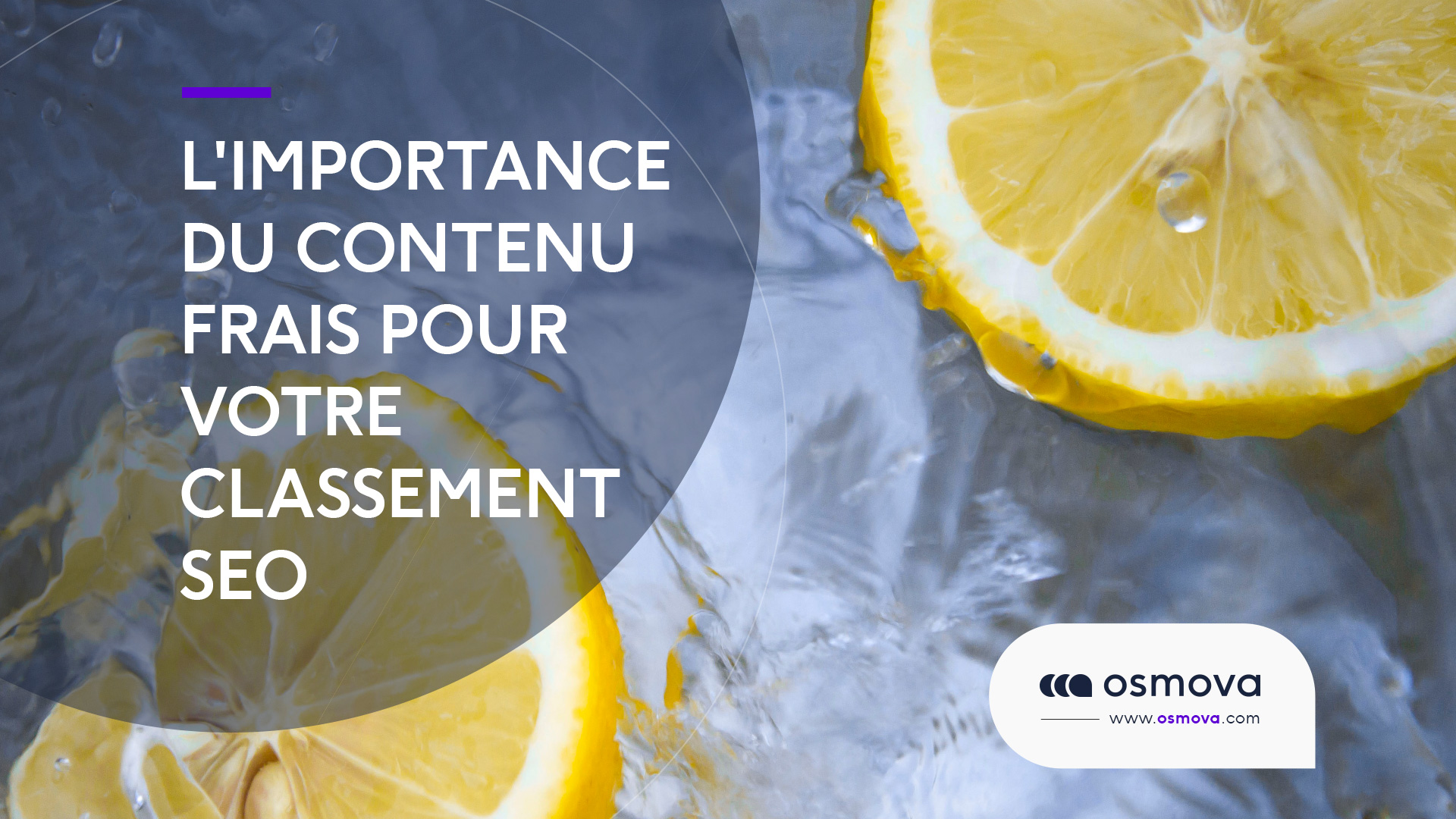 L&rsquo;importance du contenu frais pour votre classement SEO