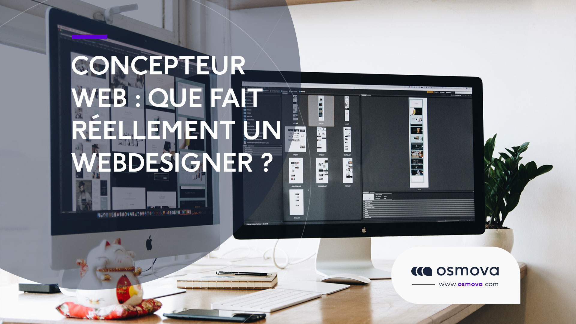 Concepteur Web : Que fait réellement un webdesigner ?