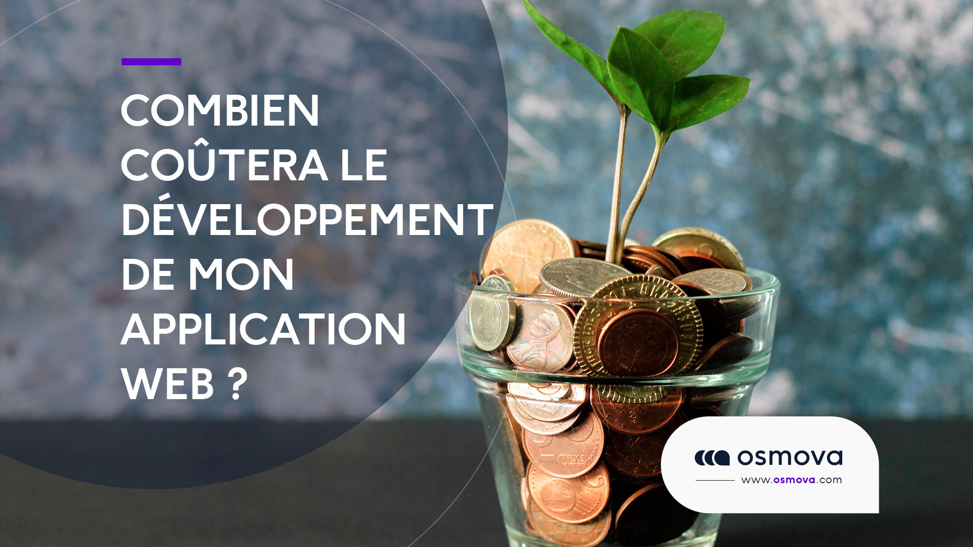 Le coût de développement d&rsquo;une application web