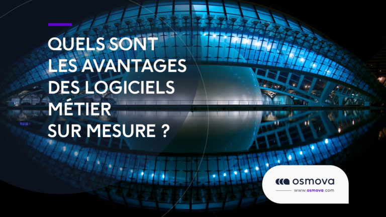 Developpement-logiciels-metier-sur-mesure