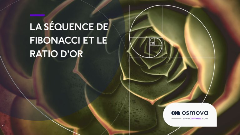 fibonacci-et-nombre-d-or