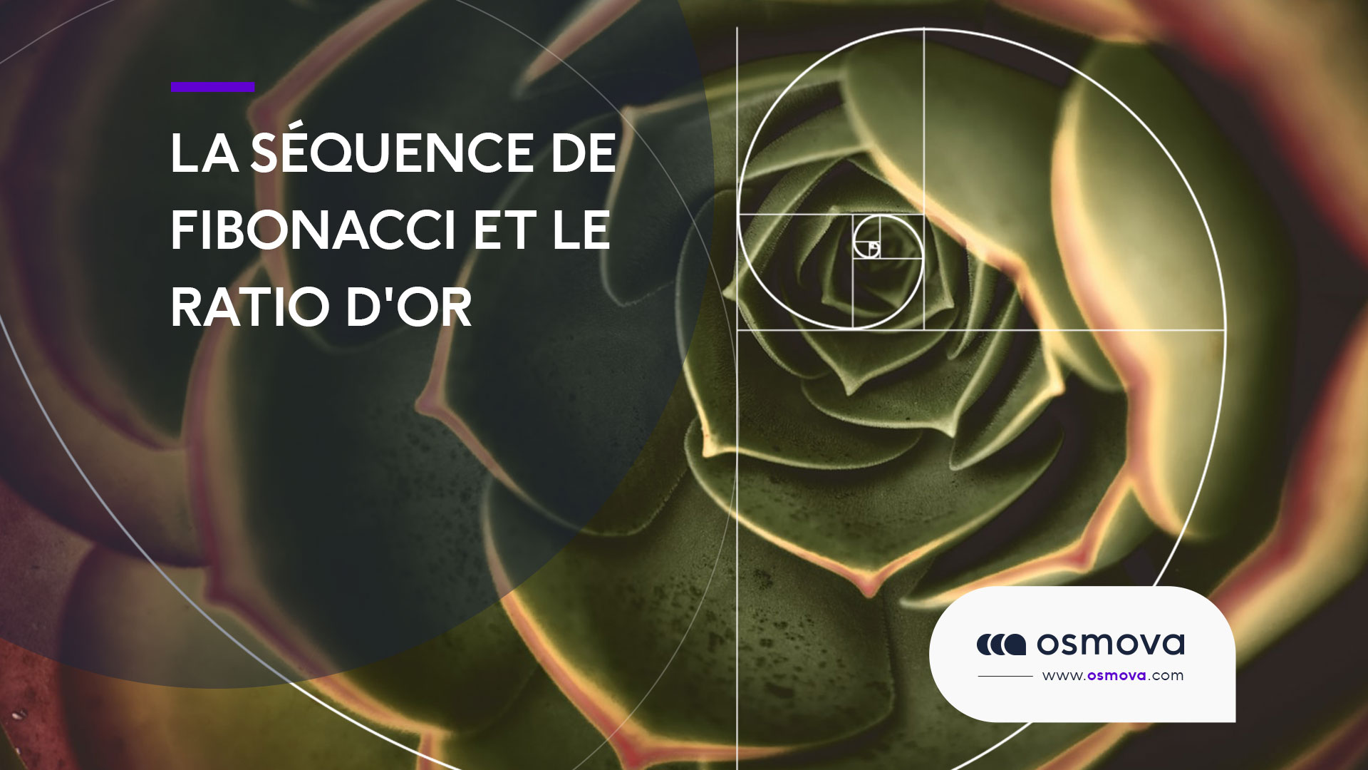 La séquence de Fibonacci et le ratio d&rsquo;or (2023)
