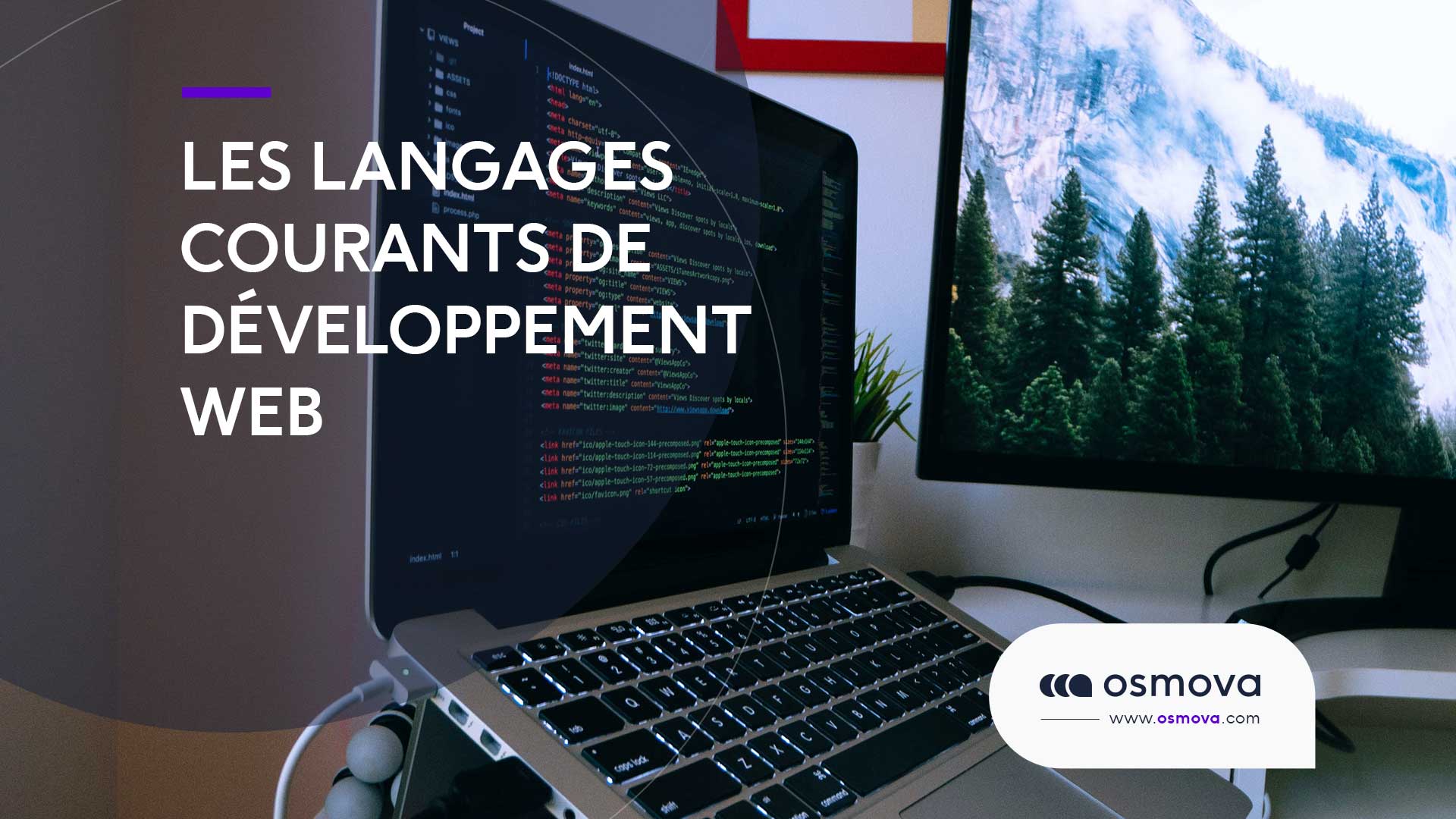 Langages de développement Web