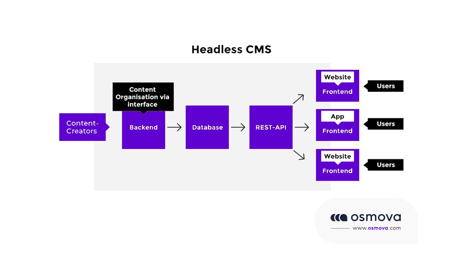 WordPress Headless avec React c'est possible guide #1