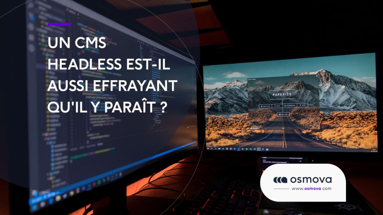 CMS-Headless-wordpress-agence-web-montpellier CMS-Headless-wordpress-agence-web-montpellier