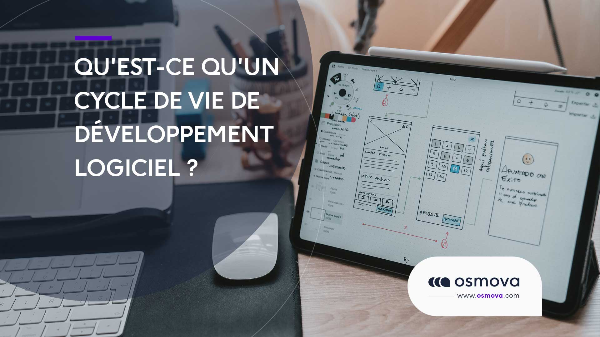 Qu&rsquo;est-ce qu&rsquo;un cycle de vie de développement logiciel (SDLC)?