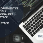Full-stack vs Mean Stack : Développement de logiciels personnalisés