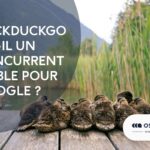 DuckDuckGo est-il un concurrent viable pour Google ?