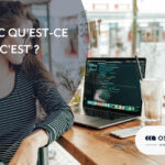 Ionic qu&rsquo;est-ce que c&rsquo;est ?