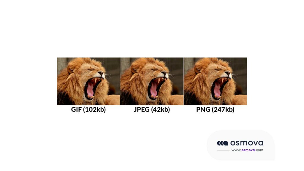 PNL en référencement