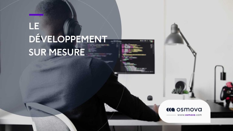 Le-developpement-sur-mesure