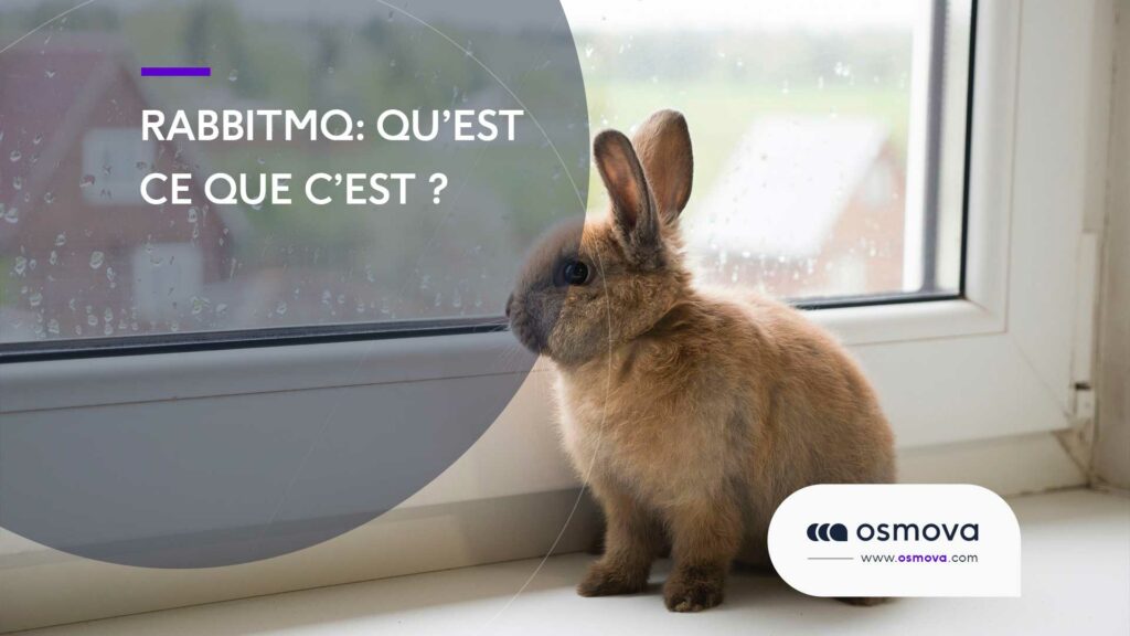 RabbitMQ-Qu-est-ce-que-cest RabbitMQ-Qu-est-ce-que-cest