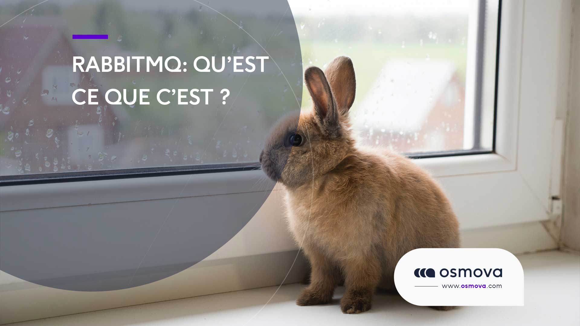 RabbitMQ : Qu’est ce que c’est ?