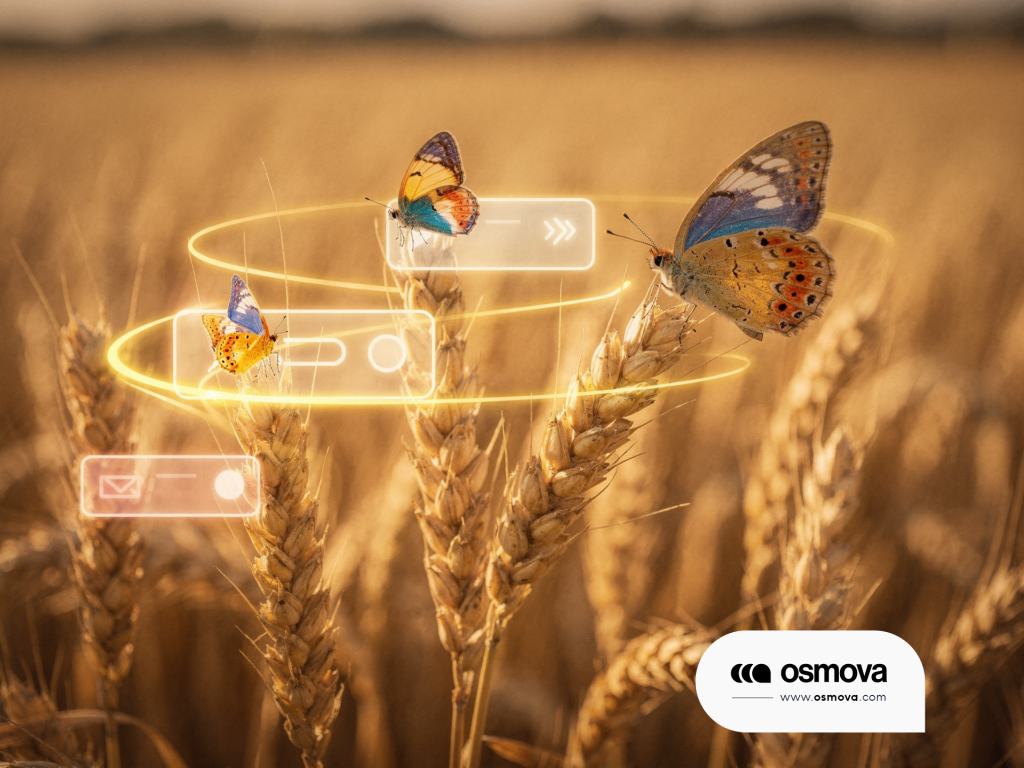 maquettage site web (3)