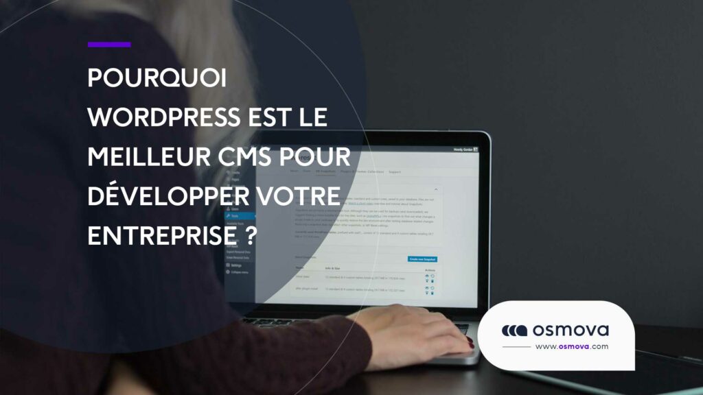 pourquoi-wordpress-est-le-meilleur-cms-pour-les-entreprises pourquoi-wordpress-est-le-meilleur-cms-pour-les-entreprises