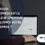 Pourquoi WordPress est le meilleur CMS pour développer votre entreprise ?