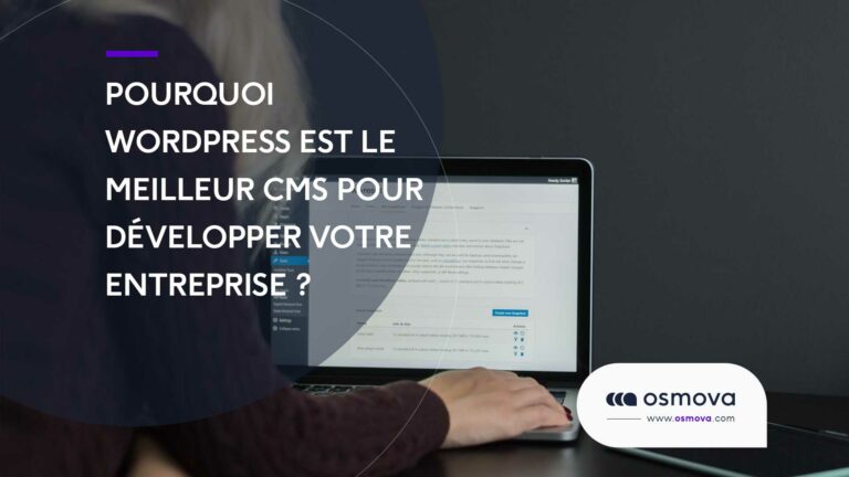 pourquoi-wordpress-est-le-meilleur-cms-pour-les-entreprises