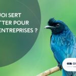 A quoi sert Twitter pour les entreprises ?