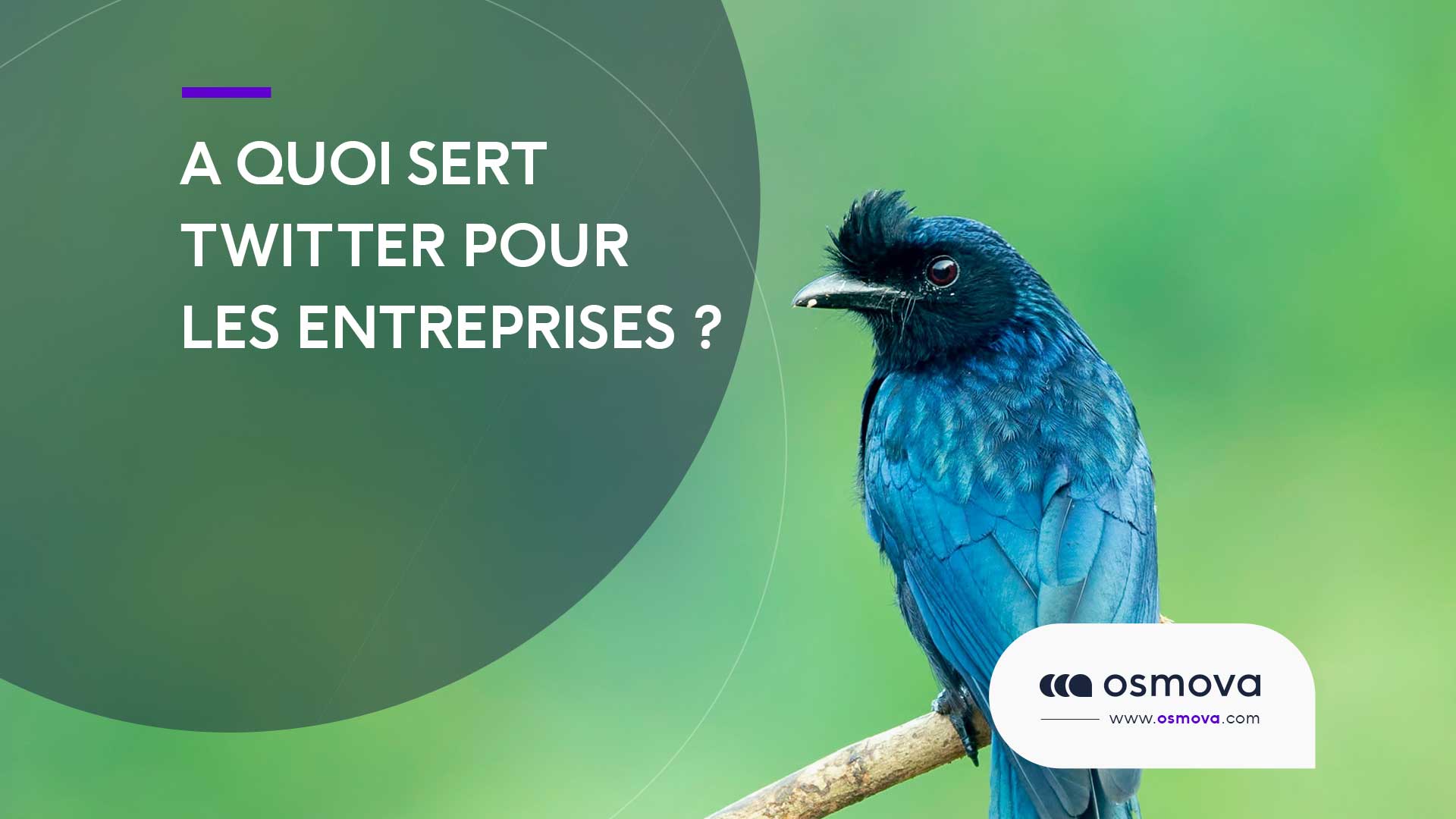 A quoi sert Twitter pour les entreprises ?