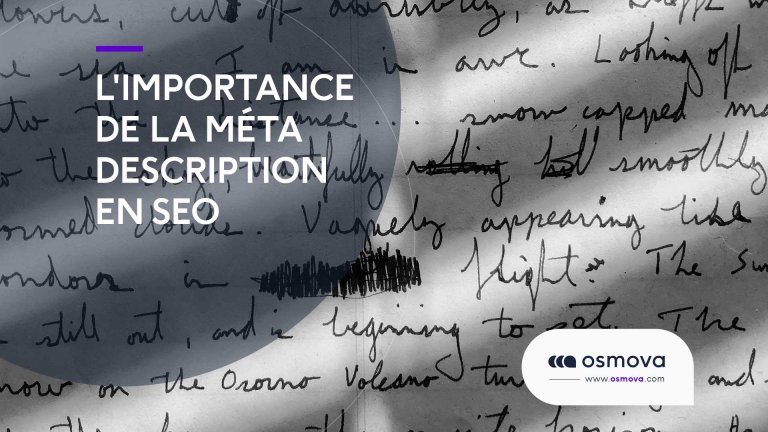 Limportance-des-meta-description-en-SEO