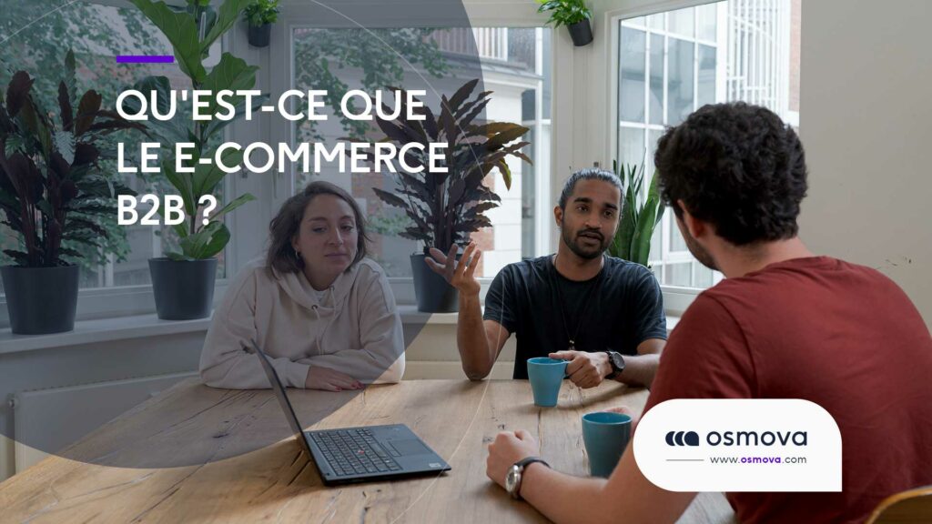 Quest-ce-que-le-e-commerce-B2B Quest-ce-que-le-e-commerce-B2B