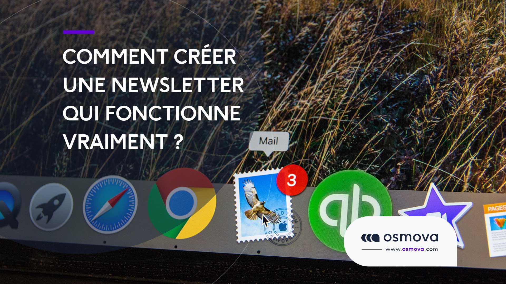 Comment créer une newsletter qui fonctionne vraiment ?