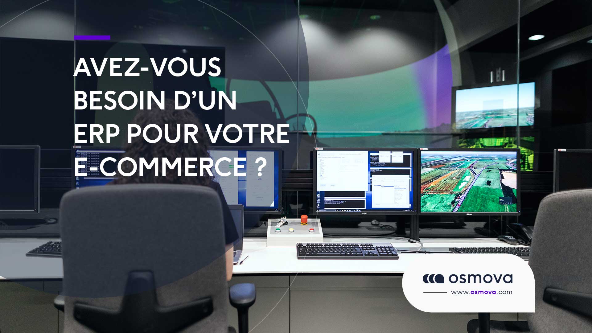 Avez vous besoin d&rsquo;un ERP pour votre e-commerce ?