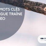 Les mots clés longue traîne en SEO