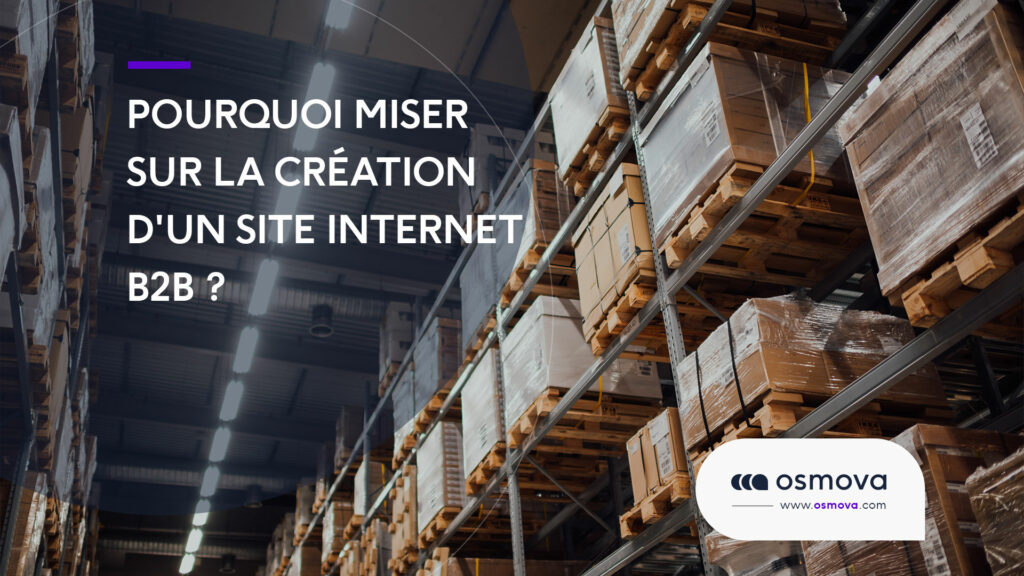 Pourquoi-miser-sur-la-creation-dun-site-internet-B2B