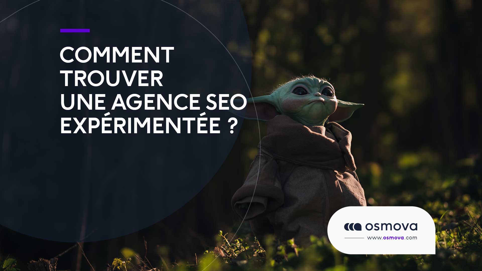 Comment trouver une agence SEO expérimentée ?