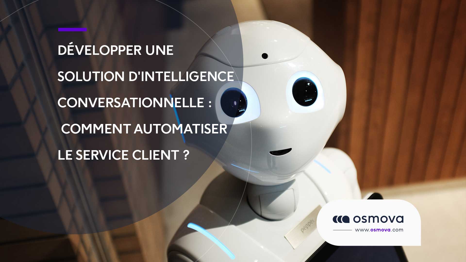 Développer une solution d&rsquo;intelligence conversationnelle : Comment automatiser le service client