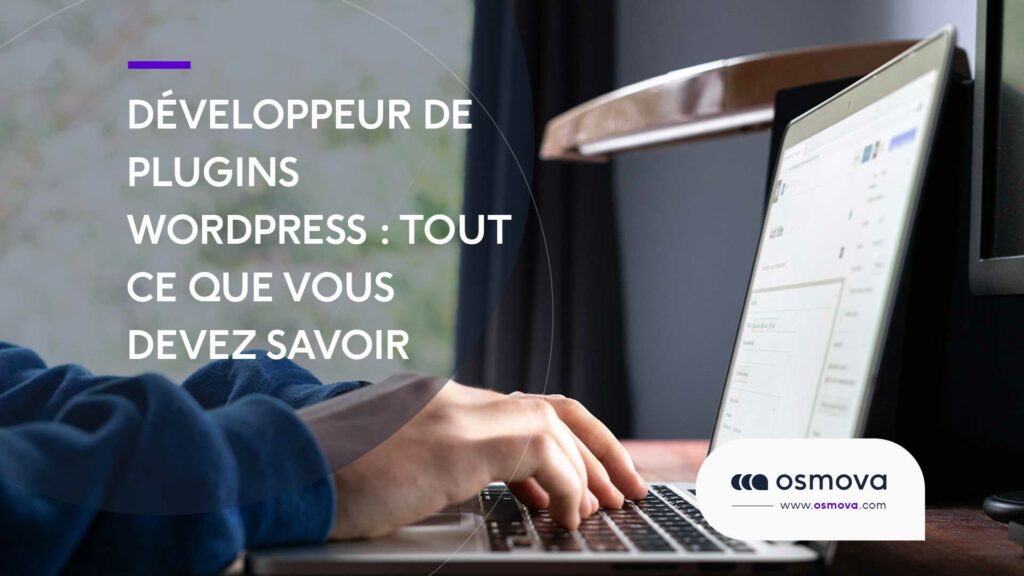 Developpeur-de-plugins-WordPress-Tout-ce-que-vous-devez-savoir