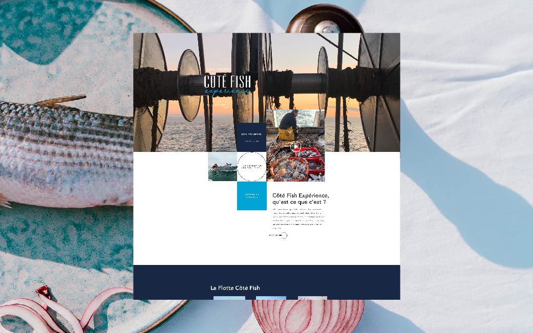 Plan de travail 1 copie 14-50