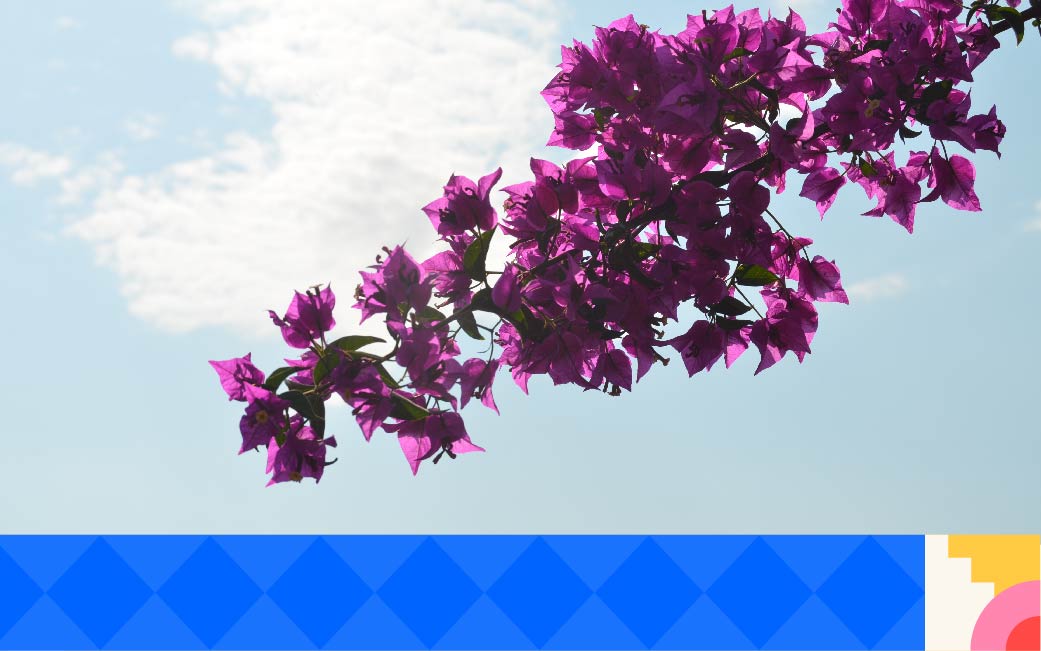 Plan de travail 1 copie 24-50