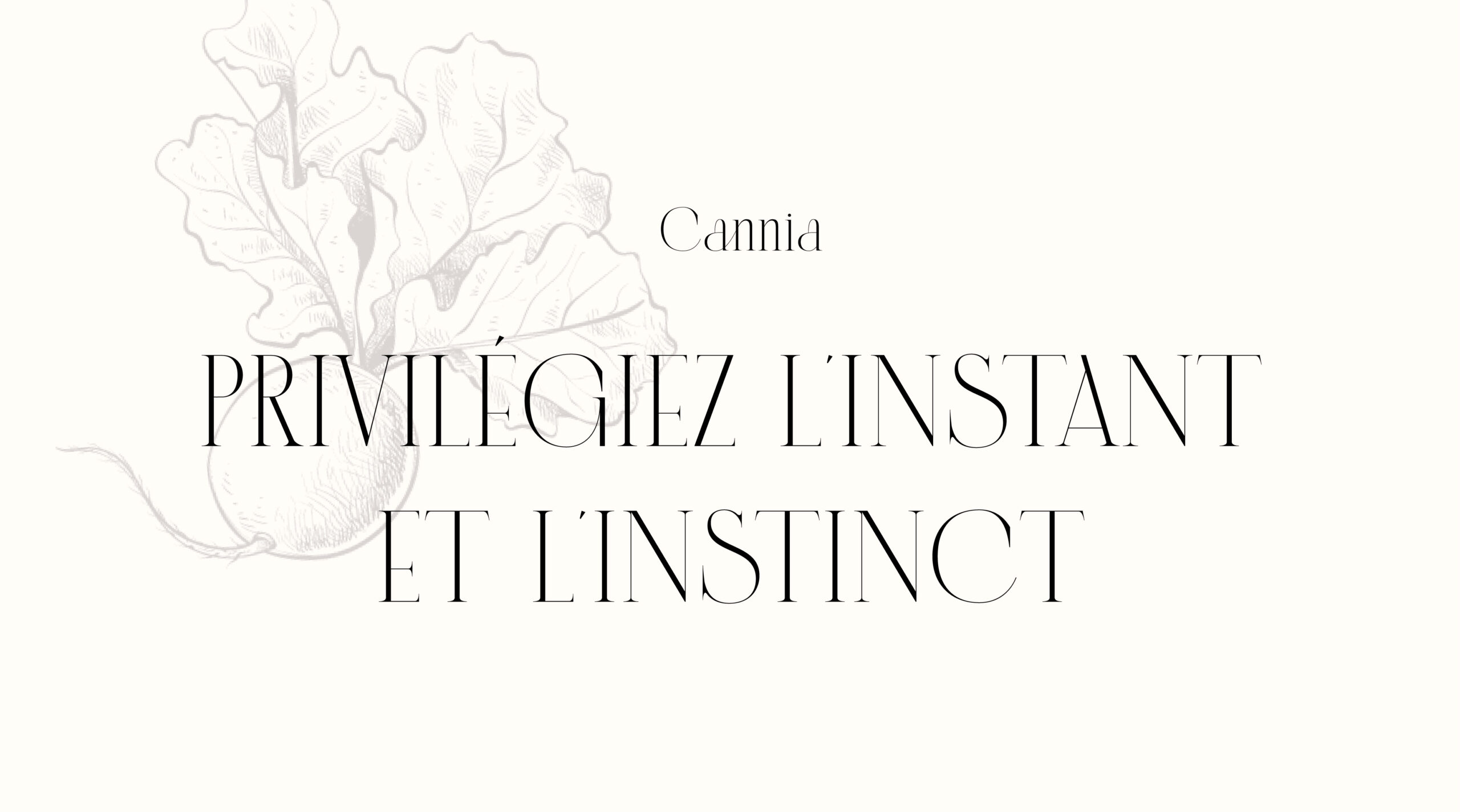 typo-maisonsoubeiran