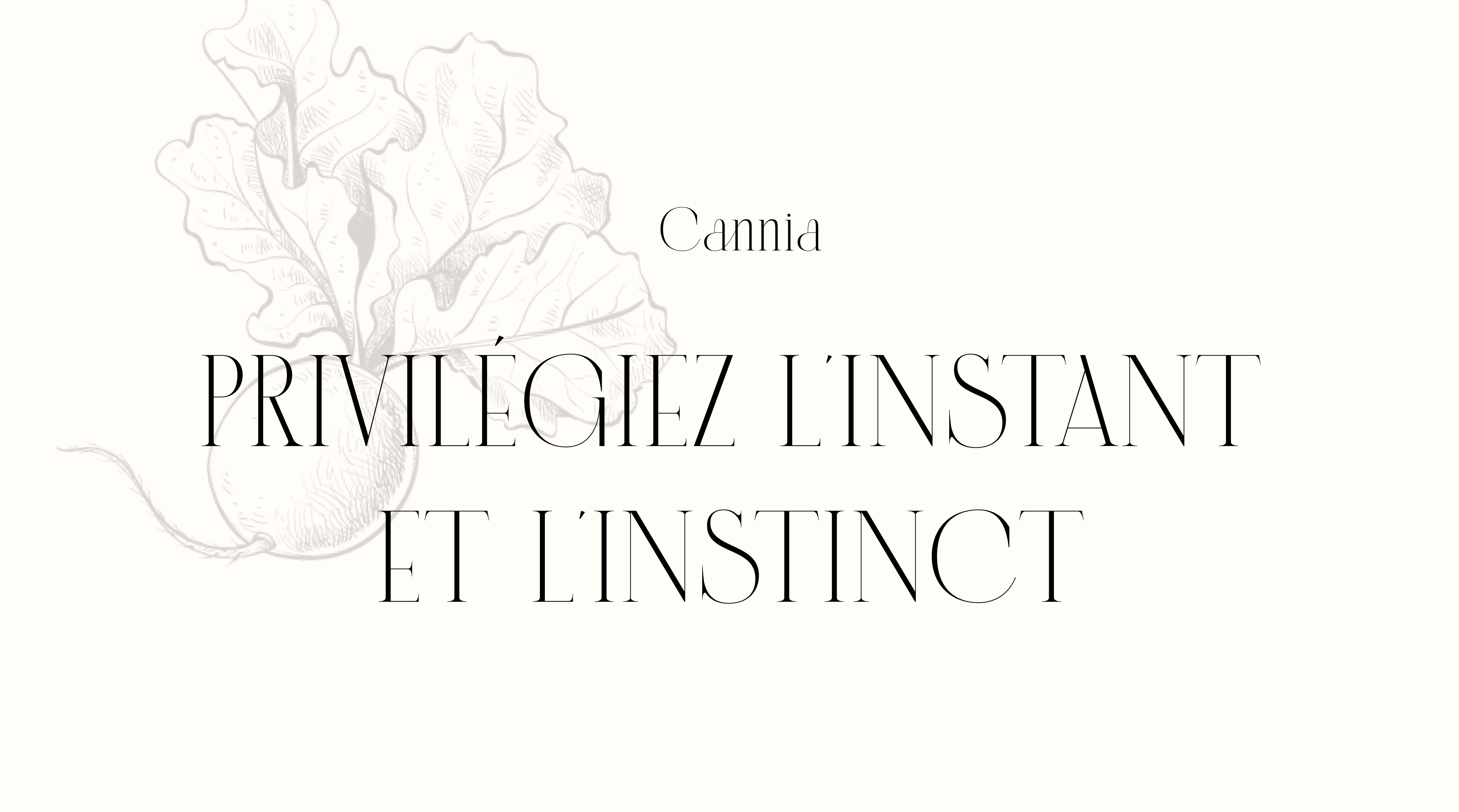 typo-maisonsoubeiran