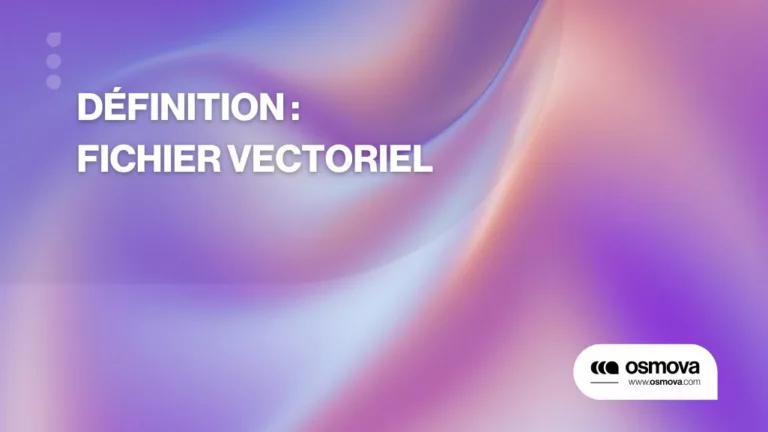 Définition Fichier Vectoriel 