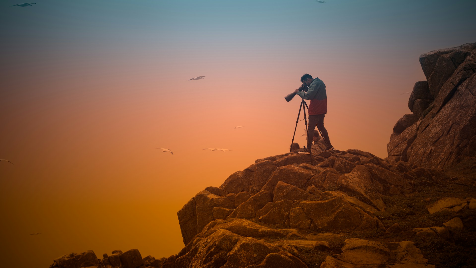 Optimiser les images de son site : format, dimensions et poids (WebP, AVIF)